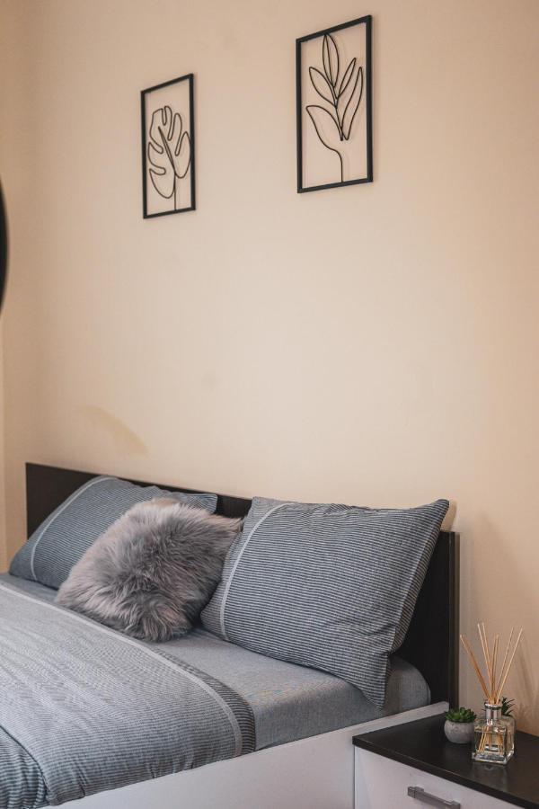 Central And Modern Apartment With Free Parking Timisoara Esterno foto